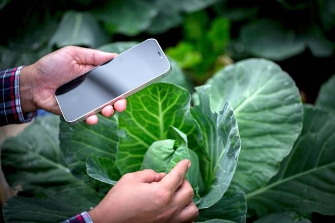 local gardening applications