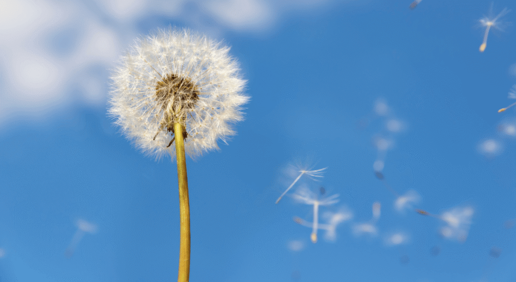 4 apps to monitor peaks!